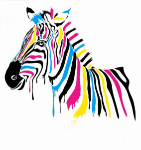 zebra